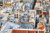 France, Paris, the rooftops of Paris in Zinc\n