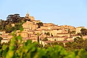 France, Vaucluse, regional natural reserve of Luberon, Bonnieux\n