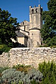 France, Vaucluse, Vaison la Romaine, from the Bon angel's garden, Notre Dame de Nazareth cathedral dated 11th and 12th centuries, backsides, tower\n