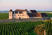 Frankreich, Cote d'Or, Vougeot, von der UNESCO zum Weltkulturerbe erklärtes burgundisches Klima, Cote de Nuits, das Chateau de Clos de Vougeot und die Weinberge bei Sonnenaufgang