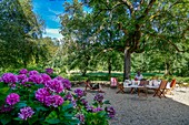 France, Saone et Loire, La Roche, farniente in a garden with a hydrangeas massif in the foreground\n