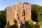 France, Bas Rhin, Niederbronn les Bains, Wasenbourg castle dated 13th century\n