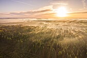 Frankreich, Somme, Crécy-en-Ponthieu, Der Wald von Crécy taucht im Herbst aus dem Morgennebel auf (Luftaufnahme)