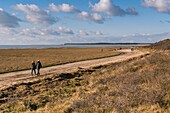 France, Somme, Somme Bay, Le Crotoy, Strollers on the beach of Crotoy in the first days of spring\n