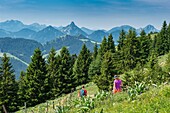 Frankreich, Haute Savoie, Chablais Geopark-Massiv, Thollon les Memises, Fahrt auf den Gipfel des Memises