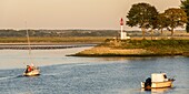 France, Somme, Bay of the Somme, Saint-Valery-sur-Somme, sailboat back to port in the channel of the Somme\n