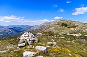 Frankreich, Alpes Maritimes, Regionaler Naturpark der Prealpes d'Azur, Coursegoules, Berg Cheiron
