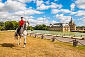 Frankreich, Oise, Chantilly, Chateau de Chantilly, die Grandes Ecuries (Große Ställe), Estelle, Reiter der Grandes Ecuries, führt sein Pferd in spanischen Stufen vor dem Schloss