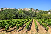 France, Vaucluse, regional natural park of Luberon, Menerbes, labeled the Most Beautiful Villages of France\n