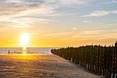Frankreich, Somme, Marquenterre, Quend-Plage, Fischer am Strand bei Sonnenuntergang