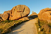 France, Cotes d'Armor, Pink Granite Coast, Perros Guirec, on the Customs footpath or GR 34 hiking trail, the chapel at Ploumanac'h point\n