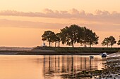 France, Somme, Somme Bay, Saint Valery sur Somme, Sunrise on the channel of the Somme at low tide\n