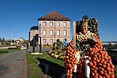 France, Doubs, Montbeliard, castle of the dukes of Württemberg, inner courtyard, museum, The Castle in Color, decorations, king on his throne, cucurbits, autumn\n