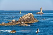 France, Finistere, Plogoff, Pointe du Raz, La Vieille lighthouse and Sein island in the background\n