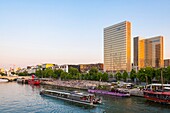 France, Paris, the banks of the Seine and the National Library of France (BNF) Francois Mitterrand by the architect Dominique Perrault\n