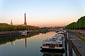 France, Paris, area listed as World Heritage by UNESCO, the banks of the Seine river and the Eiffel Tower on the background\n