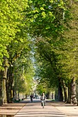 France, Meurthe et Moselle, Nancy, Pepiniere public garden built close to Stanislas square (former royal square) built by Stanislas Leszczynski, king of Poland and last duke of Lorraine in the 18th century, listed as World Heritage by UNESCO\n