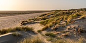 France, Somme, Baie de Somme, Le Crotoy, Dunes along Crotoy beach\n