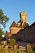 Frankreich, Bas Rhin, Elsässer Weinstraße, Orschwiller, Burg Haut Koenigsbourg am Fuße der Vogesen und mit Blick auf die Ebene des Elsass, mittelalterliche Burg aus dem 12. Jahrhundert, steht unter Denkmalschutz