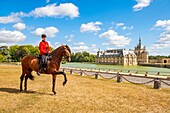 Frankreich, Oise, Chantilly, Chateau de Chantilly, die Grandes Ecuries (Große Ställe), Clara, Reiter der Grandes Ecuries, führt sein Pferd im spanischen Schritt vor dem Schloss