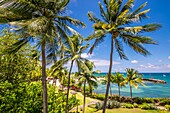 France, Caribbean, Lesser Antilles, Guadeloupe, Grande-Terre, Le Gosier, Creole Beach hotel, view of the Petit Cul-de-Sac lagoon from the balcony of a room\n