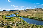 Frankreich, Lozere, Regionales Naturschutzgebiet Aubrac, Umgebung von Marchastel entlang der Via Podiensis, einer der französischen Pilgerwege nach Santiago de Compostela oder GR 65, Fluss Le Bes