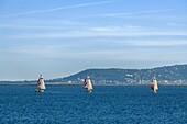 Frankreich, Herault, Marseillan, Segelboote mit dem Mont Saint Clair im Hintergrund