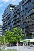 France, Paris, Paris Rive Gauche district, T8 - Le Nid building, office and housing complex by the architect Rudy Ricciotti\n