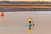 France, Somme, Somme Bay, Saint Valery sur Somme, Cape Hornu, Paddle in the channel of the Somme\n