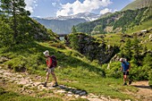 France, Hautes Alpes, Ecrins National Park, Champsaur, Drac Noir valley, Prapic, hike from Prapic to Saut du Laire\n
