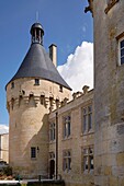 France, Charente Maritime, Jonzac, the castle gatehouse dating from the 15th century\n