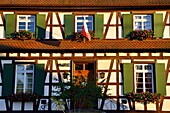 France, Bas Rhin, Gambsheim, city hall, half-timbered Alsatian house\n