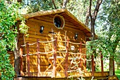 France, Bouches du Rhone, Cassis, eco friendly hut in the trees\n