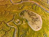 France, Somme, Bay of Somme, Noyelles-sur-mer, the salted meadows of the Bay of the Somme in the early morning with the channels and ponds of hunting huts, a little mist (aerial view)\n