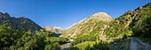 France, Hautes Alpes, Ecrins National Park, Champsaur Valley, Drac Valley of Champoléon or Drac Blanc, on the GR country trail Tour du Vieux Chaillol, the Prelles waterfall\n