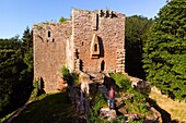 France, Bas Rhin, Niederbronn les Bains, Wasenbourg castle dated 13th century\n