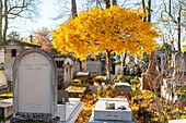 Frankreich, Paris, der Friedhof von Pere Lachaise im Herbst