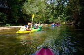 France, Var, Provence Verte, canoeing on the river Argens between Carces and Le Thoronet\n