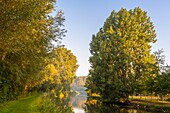 France, Somme, Valley of the Somme, Long, the banks of the Somme in the early morning, along the river\n