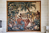 France, Indre, Berry, Loire castles, Chateau de Valencay, Grand staircase, Gobelin Tapestry of 1735, work by the animal painter François Desportes\n