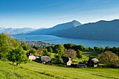 France, Savoie, Lake Bourget, Aix les Bains, Alps Riviera, Saint Innocent, sunset on the hamlet of Granges d'en Haut\n
