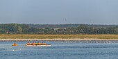 France, Somme, Somme Bay, Saint-Valery-sur-Somme, Canoe and kayak return from a walk in the channels in the salted meadows\n