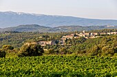 France, Vaucluse, Venasque, labeled the Most Beautiful Villages of France, Mont Ventoux in the background\n