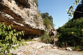 France, Ardeche, Ardeche Gorges National Natural Reserve, Sauze, Female hiker on the path of the Louby valley\n