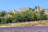"Frankreich, Vaucluse, regionaler Naturpark Luberon, Menerbes, ausgezeichnet mit dem Titel ""Schönste Dörfer Frankreichs"