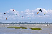 "Frankreich, Somme, Somme-Bucht, Le Crotoy, der Strand von Crotoy ist ein beliebtes Ziel für Kitesurfer und Windsurfer; nach einem Sturm, wenn die Sonne mit einem kräftigen Wind zurückkehrt, sind die Sportler zahlreich und ihre bunten Segel erhellen die Landschaft"