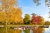 France, Paris, the Bois de Vincennes, the lake Daumesnil in autumn\n
