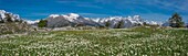 France, Hautes Alpes, massif of Oisans, Ecrins National Park, Vallouise, hike to Pointe des Tetes, panorama from the sommintal plateau on the peaks of the Oisans massif from left to right: head of Dormillouse, point Aigliere in the center peaks of Pelvoux\n