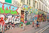 France, Bouches du Rhone, Marseille, Cours Julien, Rue des Trois Rois, street art\n