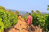 Frankreich, Var, La Motte, Spaziergang eines jungen Paares im Weinberg AOP Côtes de Provence des Château des Demoiselles